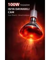 100W Isıtıcı Ampul Kırmızı Isı Lambası Civciv Kümes Kuluçka E27 Duy Isıtma Ampulü