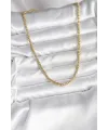 ietaks™ 14K Gold Renk Kaplama Boru Zincir Model CM Kadın Kolye