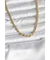 ietaks™ 14K Gold Renk Kaplama Burgu Model CM Kadın Kolye