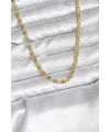 ietaks™ 14K Gold Renk Kaplama Zincir Model CM Kadın Kolye