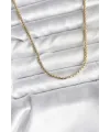 ietaks™ 14K Gold Renk Kaplama Zincir Model CM Kadın Kolye