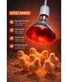 150W Isıtıcı Ampul Kırmızı Isı Lambası Civciv Kümes Kuluçka E27 Duy Isıtma Ampulü