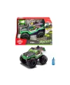 203764025 Rowdy Rocker