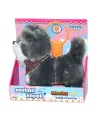 2859  Sevimli Köpek Mocha