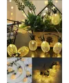 2m 10 Led Pilli 2 Kademeli Ananas Led Işık Mz6200-251