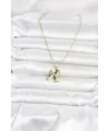 316L Çelik Zincir Gold Renk Dolphin Model Kadın Kolye