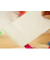 3lü Tüy Toplayıcı Rulo Bant