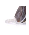 4 mm Opal Taşı (Ay Taşı)