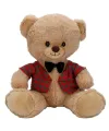 4810 SUN-JNH-PFF-SK PELUŞ AYI ELBİSELİ 32CM 2A