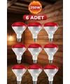 (6 Adet) 250W Kızılötesi Isıtıcılı Hayvan Isıtma ve Kuluçka Lambası (Kırmızı Işık) E27 (Kalın Duy)