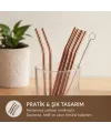 6lı Kaşıklı Pipet Seti - Bronz - Pipet Temizleme Fırçası