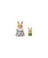 5728 Sylvanian Families FGift Set Kasaba Okulu Seti +4 yaş