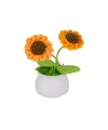 FL-3 12Lİ Kroşe Örgü Ayçiçeği -Birliktoys