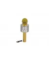 EMR-101 KUTULU KARAOKE MİKROFON