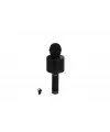 EMR-101 KUTULU KARAOKE MİKROFON
