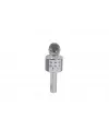 EMR-101 KUTULU KARAOKE MİKROFON
