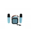 EMR-102 KUTULU 2Lİ KARAOKE MİKROFON