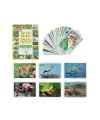 1352 F.CARDS İLK 50 HAYVAN