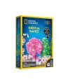 NAT00002 National Geographic Kristal Bahçe Kiti - TRCRYSGRDN +8 yaş