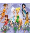 FA 714 FAİRİES PUZZLE 100