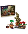 76474 Lego Harry Potter Hogwarts Bitkibilim Bitkileri 817 parça +12 yaş