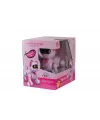 KEDİ 6602 KUMANDALI ROBOT KEDİ