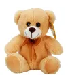 0998 SUN-JHN-PFF-SK PELUŞ AYI OTURAN KURDELELİ 21CM 2R