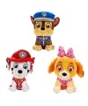 79552 SUN-HTI-SBR-PELUŞ PAW PATROL LIL BODZ VALENTINES 28CM PAW 3A