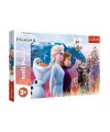 PUZZLE-14298 Frozen II 24 Parça Maxi Çocuk Puzzle
