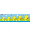 CS-7033-35 BÜYÜKTEN KÜÇÜĞE KÜÇÜKTEN BÜYÜĞE SIRALA 7034-7035