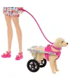 HTK37 Barbie ve Engelli Köpeği Oyun Seti