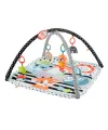 HBP41 Fisher-Price® Neşeli Hayvanlar 3ü1 Arada Jimnastik Merkezi