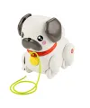 HTW94 Fisher-Price  Minik Dostumla Yürüyüş