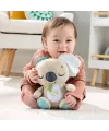 JBD65 Fisher-Price Koala Arkadaşım
