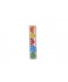 2522 GEOMETRİK OYUNCAK