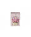 P1249 PANLOS SİMÜLASYON ÇİÇEK SERİSİ 253 PARÇA BLOCK OYUNCAK