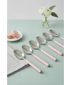 6’lı Paslanmaz Çelik Tatlı Kaşığı Seti Somon Pembe Saplı 15 cm