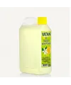 900 cc Limon Kolonyası Bidon