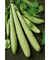 Acur Tohumu 10 Gr