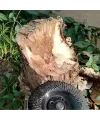 Ahşap Eğe Diski