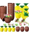 Ananas & Hindistan Cevizi Tasarımlı Pipetli Bardak Seti (6 Adet)