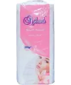 Aslanlı Pamuk 250 Gr IEGWDNU
