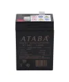 AT-640 6V 4Ah Işıldak Aküsü