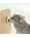 Avokado Model Yapışkanlı Kedi Oyuncağı Yenilebilir Kedi Nanesi Otu