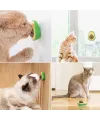 Avokado Model Yapışkanlı Kedi Oyuncağı Yenilebilir Kedi Nanesi Otu