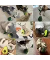 Avokado Şeklinde Kedi Naneli ve Mama Hazneli Kedi Oyuncağı