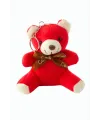 Ayıcık Peluş Çanta Anahtarlık 12 cm
