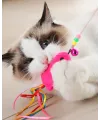 Balıklı Kedi Oyun Oltası