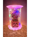 Balon Kuş Ahşap Işıklı Led Fanus