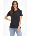 Bisiklet Yaka Tişört Regular Kalıp Basic Pamuklu Günlük Kullanım T-shirt - Füme